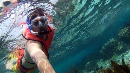 key largo John Pennekamp Coral Reef State Park