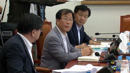 내일 오전 본회의 열릴 듯...추경안 막바지 심사 / YTN