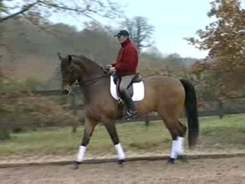 PLR - Patrick LE ROLLAND - Leçon Dressage Cheval 2/6
