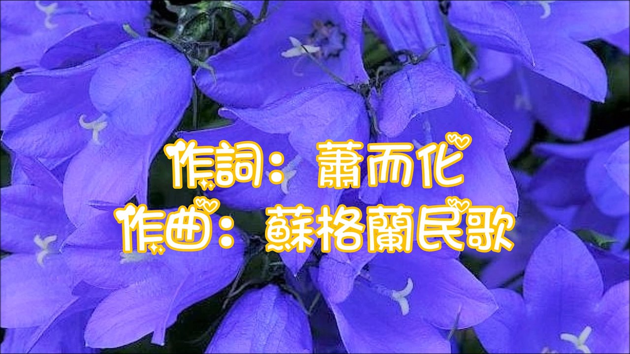{S&F}[風鈴草](演奏) 風鈴草(鋼琴伴奏)