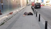 Taksim'de Köpeğine Sarılarak Uyuyan Çocuk Yürek Sızlattı