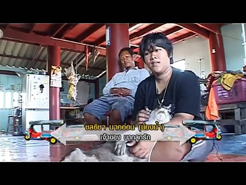 videoplayback_4นาคแสนรู้