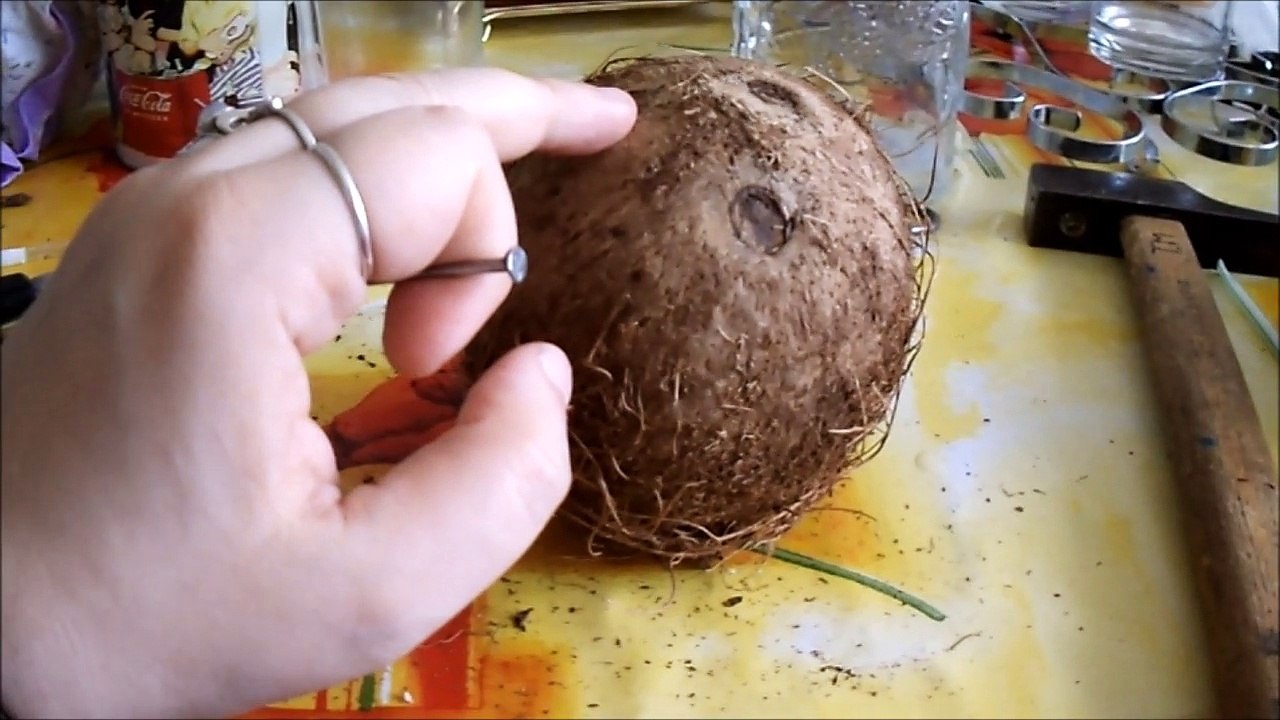 Comment récupérer l'eau de coco ?
