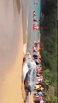 ALLAH ki Makhlooq ki madad karen