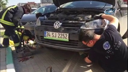 Otomobilin motoruna sıkışan kedi itfaiye ekipleri tarafından kurtarıldı