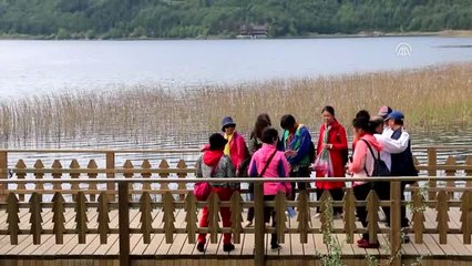 Abant'a Yerli ve Yabancı Tatilci İlgisi - Bolu