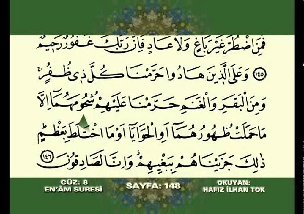 Hafız İlhan Tok 8. Cüz Dailymotion Video