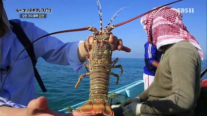 세계테마기행 - 오만 가지 매력 오만 1부- 신드바드의 바다_#002