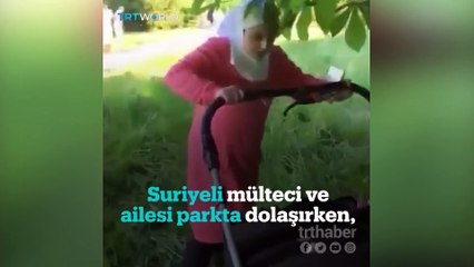 Almanya'da Suriyeli aileye köpeklerle ırkçı saldırı