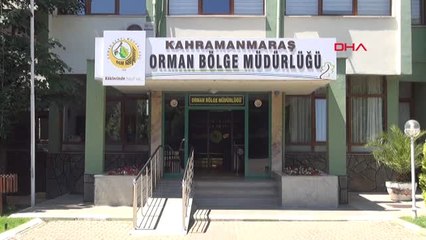 Kahramanmaraş-Orman Yangınına 1 Yıl 3 Ay Hapis ve 84 Bin Lira Zarar Cezası