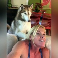 So Funny! This Will Make You Laugh!