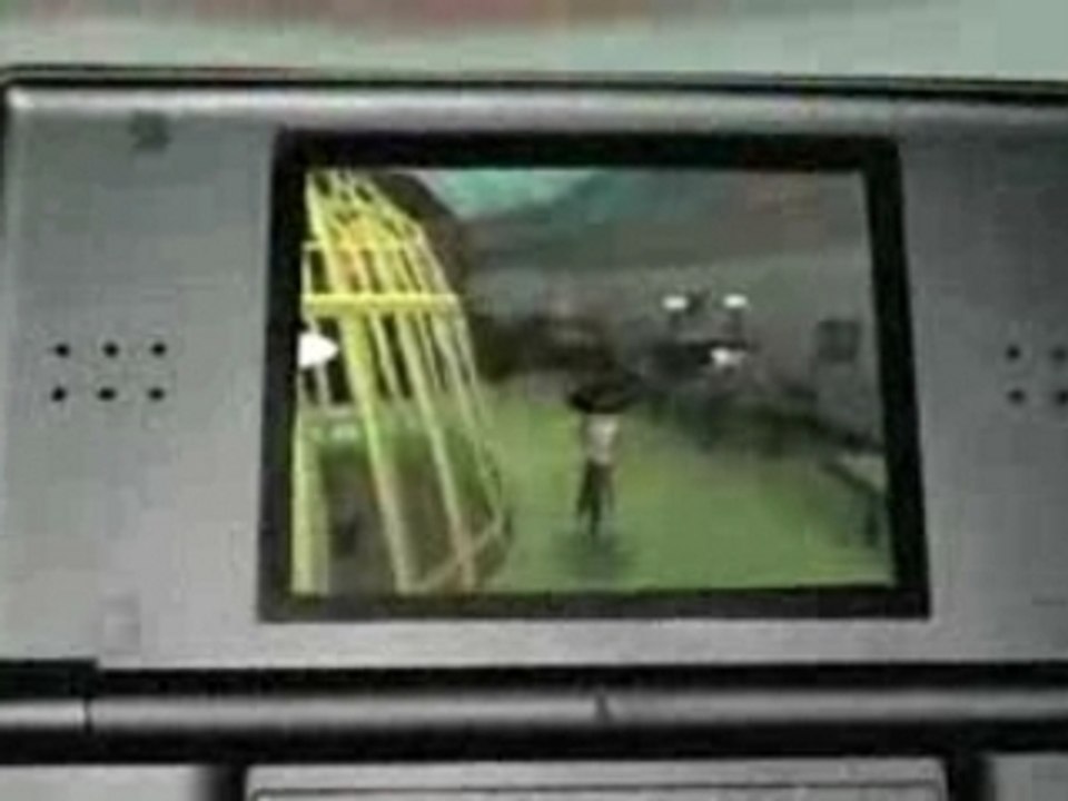 Insectiside sur Nintendo DS