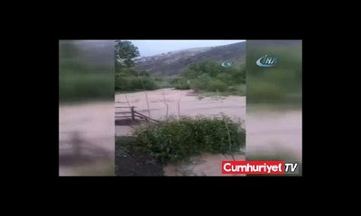 Feci şekilde can verdi