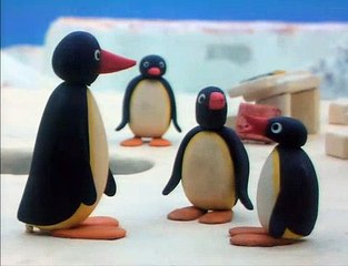 Pingu 20 Pingu at School