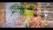 Hazir Hain Hum - Hafiz Ahmed Raza Qadri - New Naat,Islamic Video,Rabi Ul Awal Kala