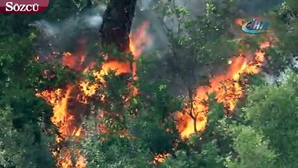 Antalya’da korkutan orman yangını
