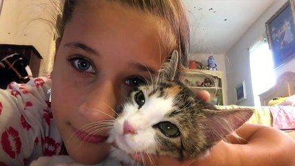 Cutest Pets in Love Compilation of 2018 | Funny Pet Videos