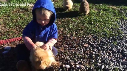 Funny Babies Cuddling Animals - Cute Babies and Pets Compilation