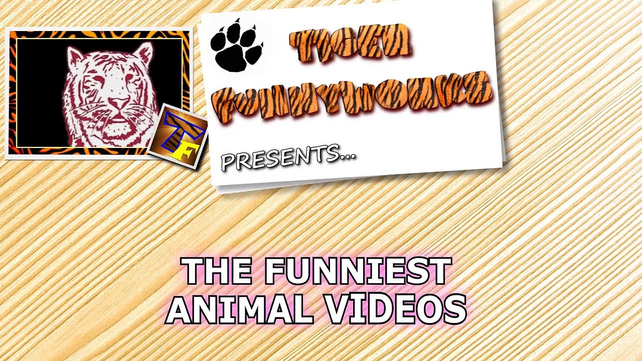 So FUNNY that you will FEEL DIZZY! - Ultra FUNNY ANIMAL VIDEOS compilation