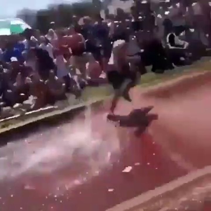 Une course de steeple qui fini en... concours de plongeons