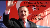 CANIM TÜRKİYEM  (AK PARTİ - MHP CUMHUR İTTİFAKI SEÇİM ŞARKISI - 2018)