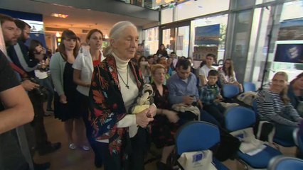 Dr. Jane Goodall talks to euronews