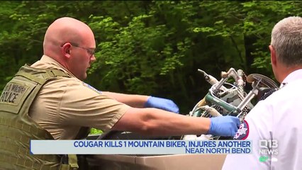 `His Whole Head Was Inside the Jaws of the Cougar:` Man Killed, Another Injured Following Attack in Washington