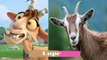 ferdinand characters in real life | Cartoon Characters