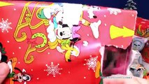 TheEngineeringFamily and DisneyCarToys Have a Surprise Present Exchange