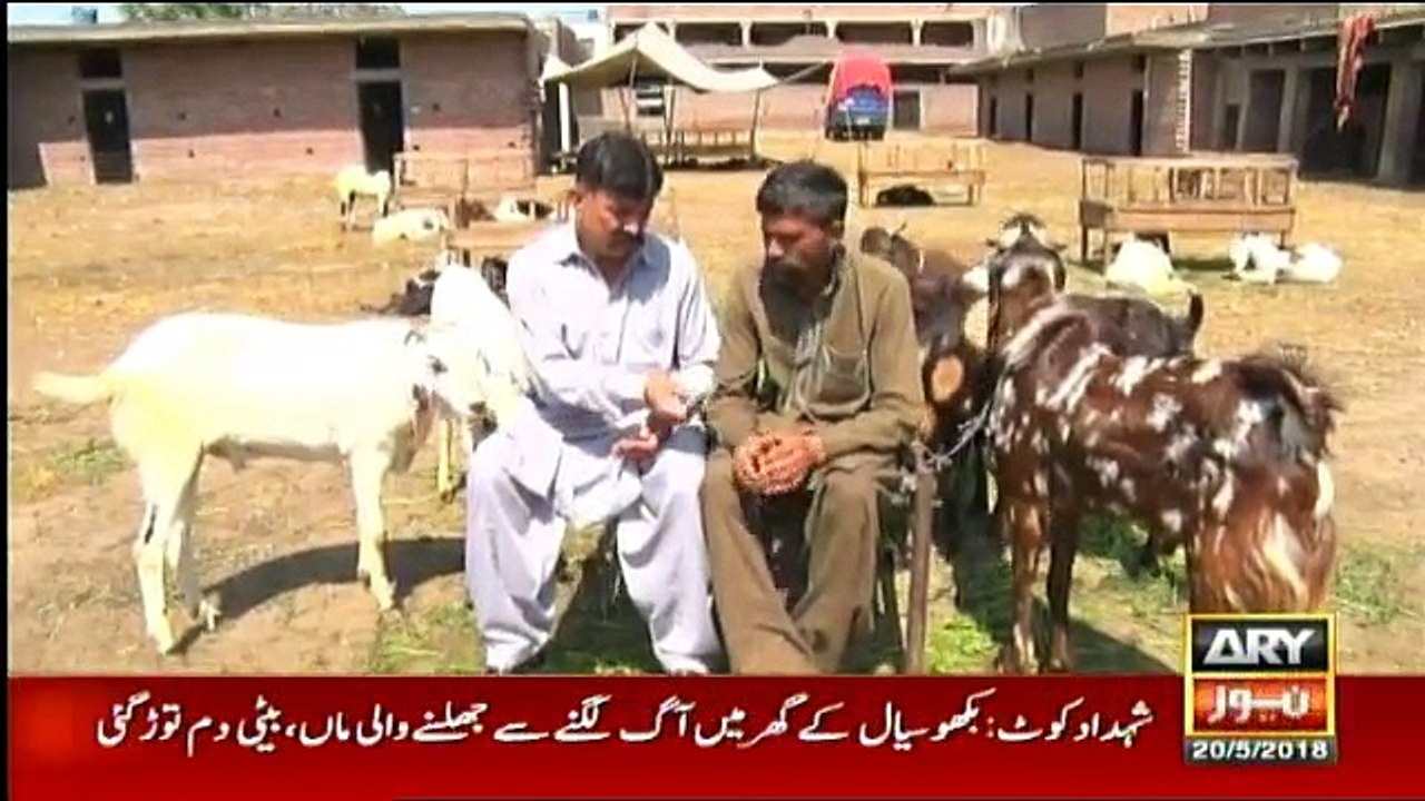 Criminals Most Wanted - 20th May 20180