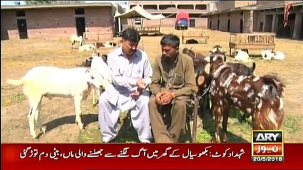 Criminals Most Wanted - 20th May 20180