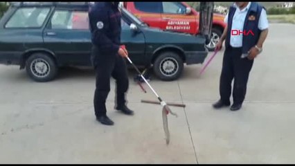 Adıyaman Hareket Halindeki Otomobilde Yılan Paniği