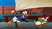 ᴴᴰ Donald Duck Chip and dale Pluto/ Donald Duck Cartoons Full Episodes | Mickey Mouse # 3