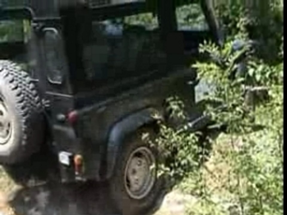 Trial 4x4