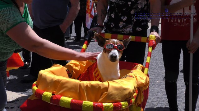 El clamor de más de 4 mil personas contra «Adolfo Torra» (Quim Torra) ilusiona a los españoles