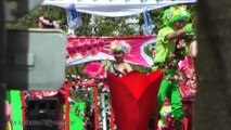 イセザキモールもパレード☆ ザ よこはまパレード 65th 横浜開港記念みなと祭 国際仮装行列 (2)