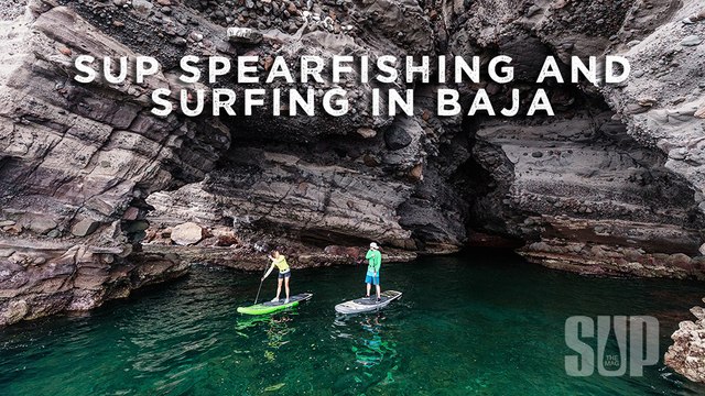 SUP Spearfishing and Surfing Adventure in Baja California