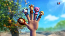 Famille des doigts d'animaux - Rime pour bébé - Animal Finger Family - Nursery Rhyme - Kids Songs