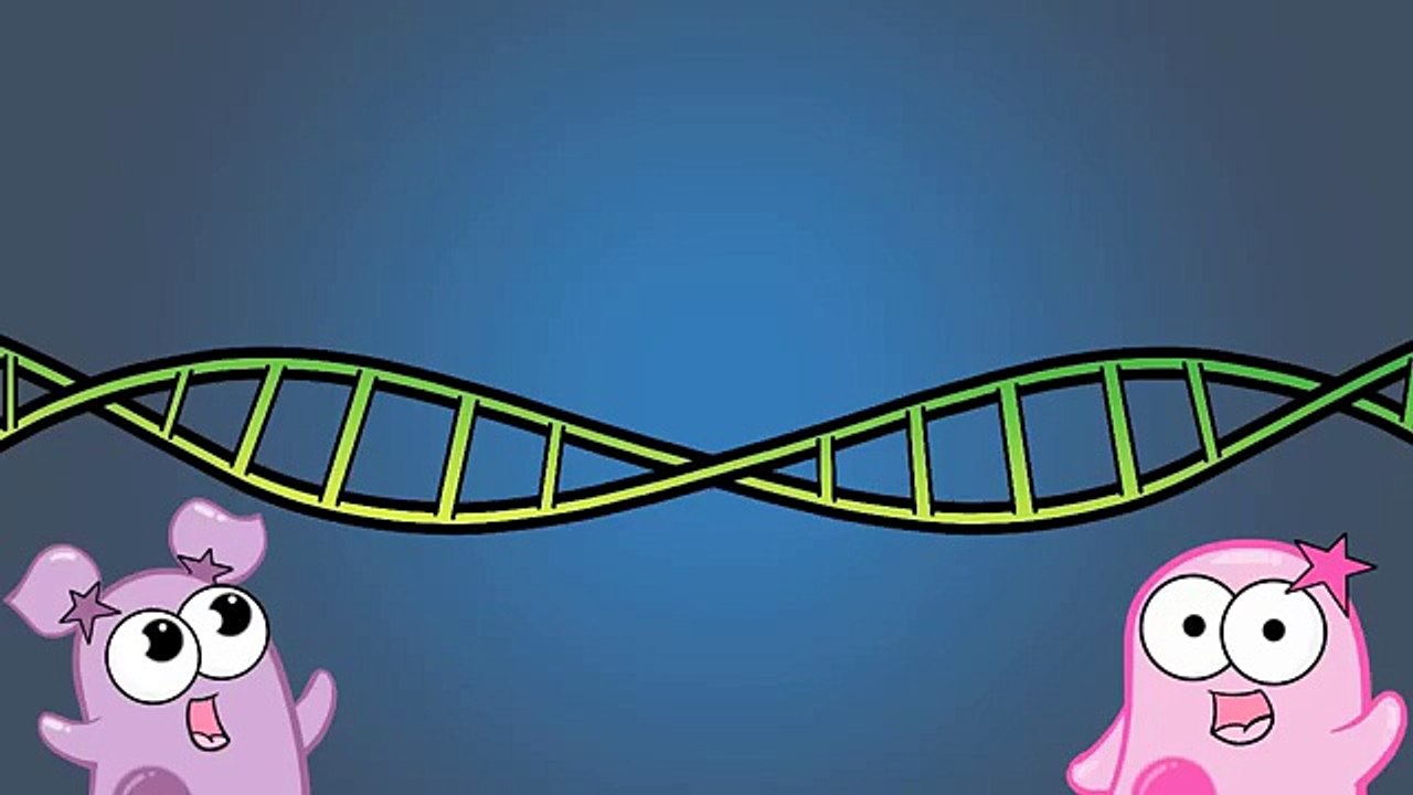 Speciation