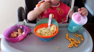 Toddler Meals | What I Feed My 19 Month Old