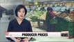 South Korea's producer prices rise slightly in April: Bank of Korea