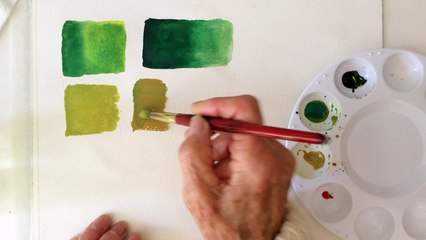 Watercolor Tutorial with tips how to mix Greens for Beginners