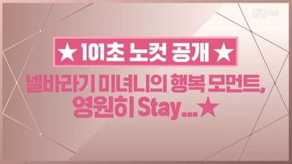 [101초 노컷] 넬바라기 미녀니의 행복 모먼트, 영원히 Stay..★_황민현