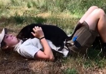 Dog-Like Tasmanian Devil Loves Cuddles and Belly Rubs