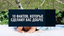 10 фактов, которые сделают вас добрее