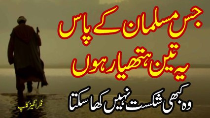 Muhammad Raza Saqib Mustafai - Jis Musalman K Pas Ye 3 Hathyar Hon Wo Kabhi Shikast Nahi Kha Skta