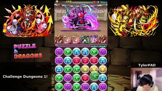 [Puzzle & Dragons] Challenge Dungeons 1! - Lvl. 10