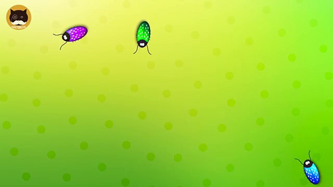 ENTERTAINMENT VIDEO FOR CATS. Cat Games - Catching Bugs.