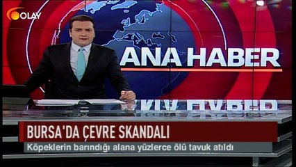 Bursa'da çevre skandalı