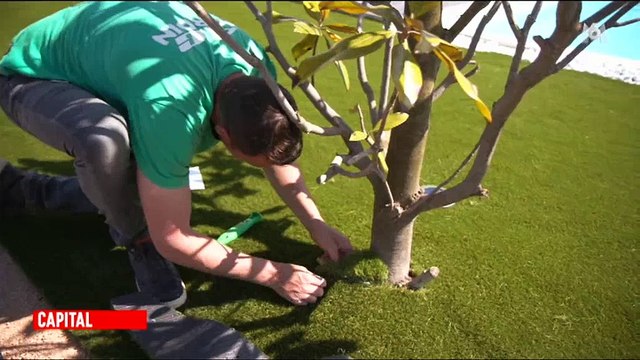 Une propriétaire dépense 30.000 euros en gazon synthétique et ça fait réagir les téléspectateurs ! Regardez